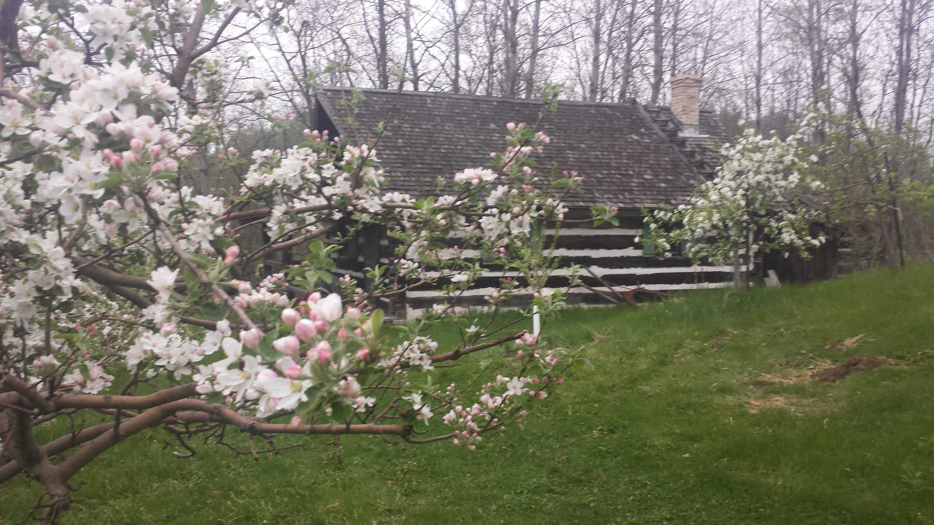 Wisconsin Apple Orchards